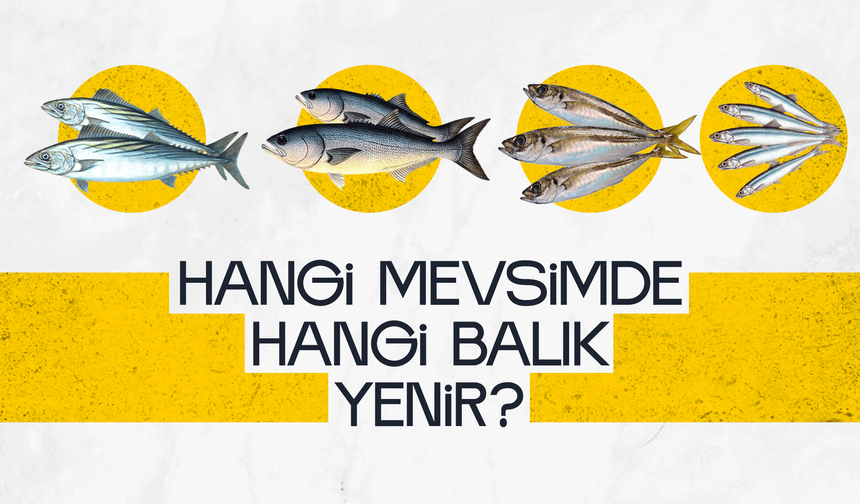 Hangi Mevsimde Hangi Balık Yenir?
