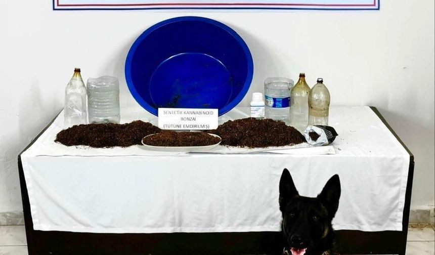 Uyuşturucu operasyonu: 1 gözaltı