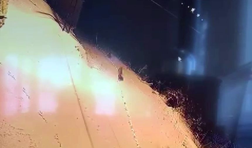 Aç kalan kurt sürüsü şehir merkezine indi