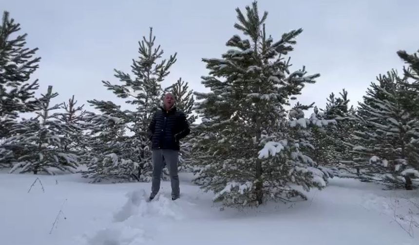 Dondurucu soğuğa aldırış etmeden akarsuya girdi