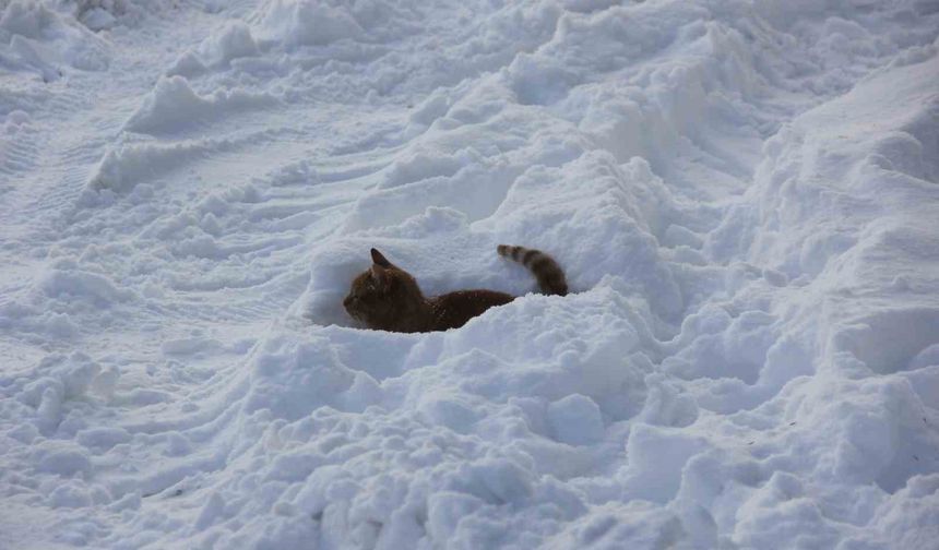 Eski kışlar geri geldi, Kızılırmak'ın yüzeyi kısmen dondu