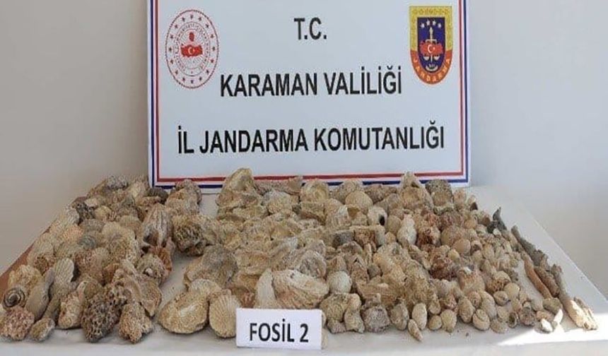 Kaçak sigara ile 420 adet fosil ele geçirildi: 12 kişi tutuklandı