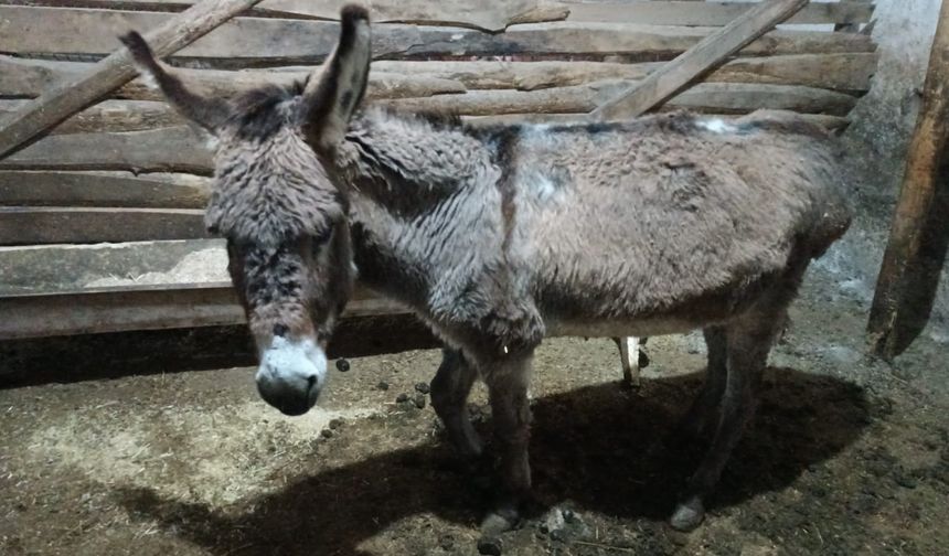 Köylüden vicdanlara dokunan hareket