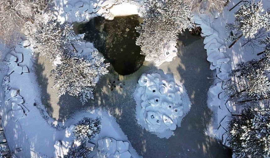 Şehir buz tuttu: Termometreler eksi 14'ü gösterdi