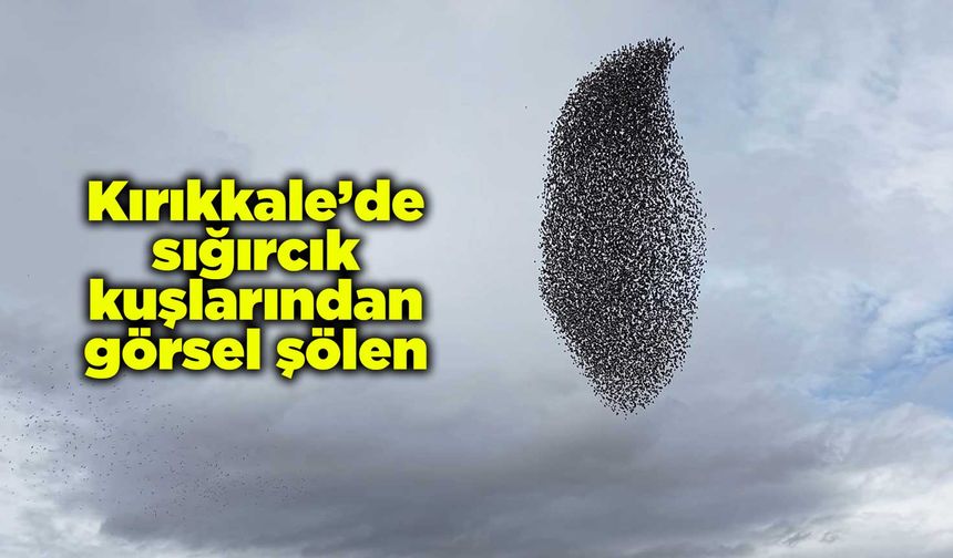 Kırıkkale’de sığırcık kuşlarından görsel şölen