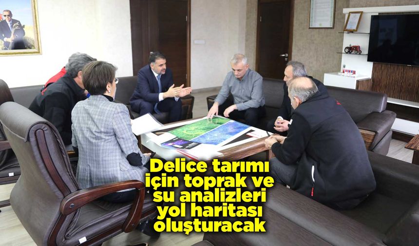 Delice tarımı için toprak ve su analizleri yol haritası oluşturacak