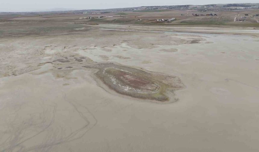 Allı turnaların yuvası yok oluyor