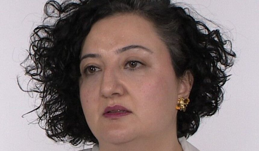 'Okullarda Şiddet ve Akran Zorbalığı'