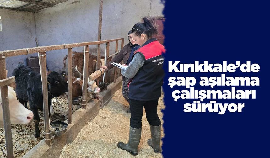 Kırıkkale’de şap aşılama çalışmaları sürüyor