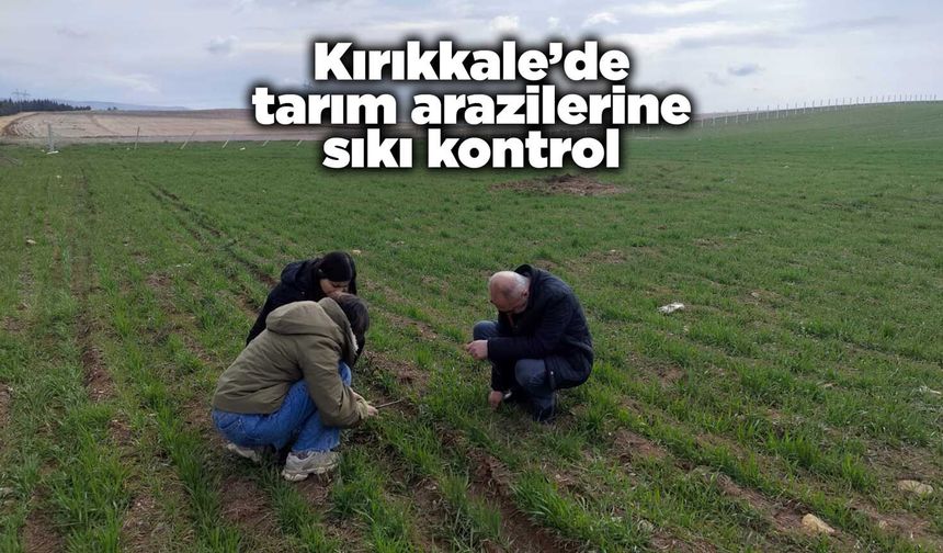 Kırıkkale’de tarım arazilerine sıkı kontrol