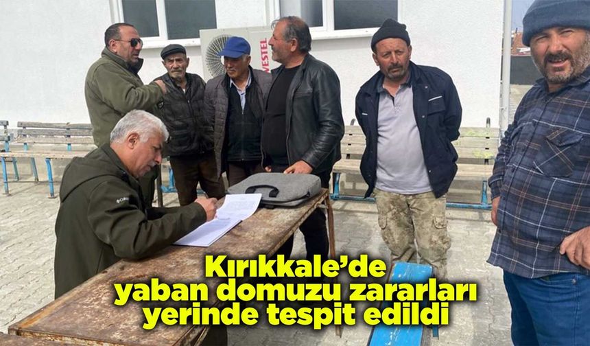 Kırıkkale’de yaban domuzu zararları yerinde tespit edildi