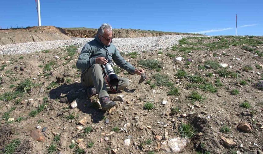 17 yeni memeli türü keşfedildi