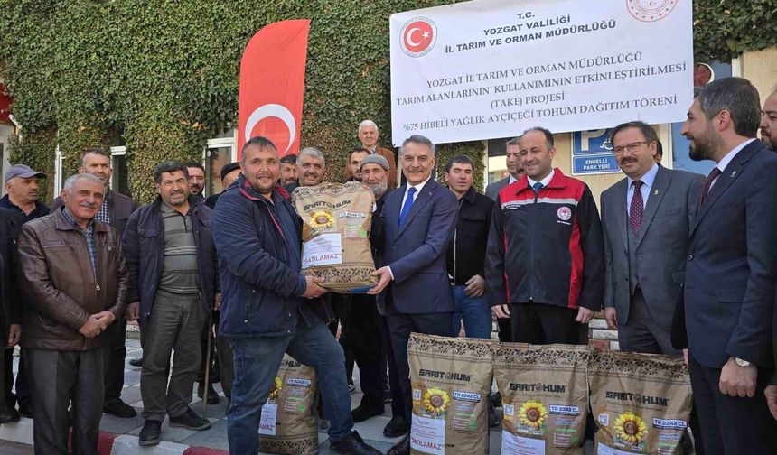 676 paket yerli ve milli ayçiçeği tohumu dağıtıldı