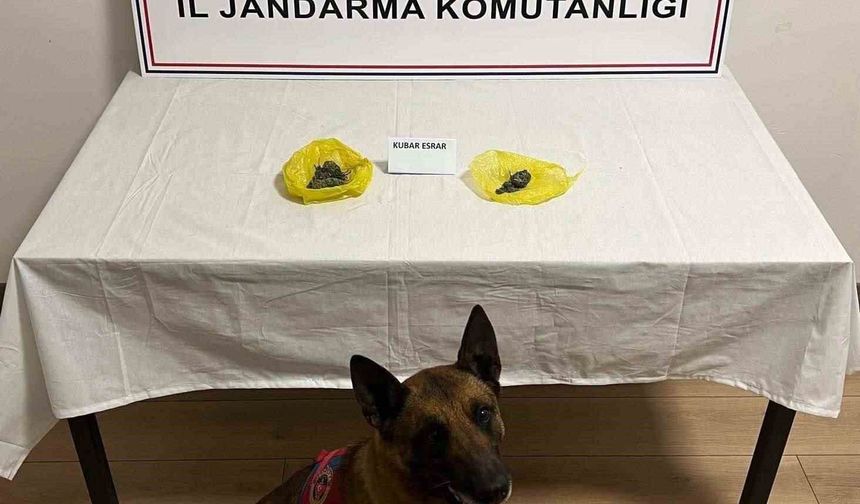 Yol kontrolünde uyuşturucu yakalandı