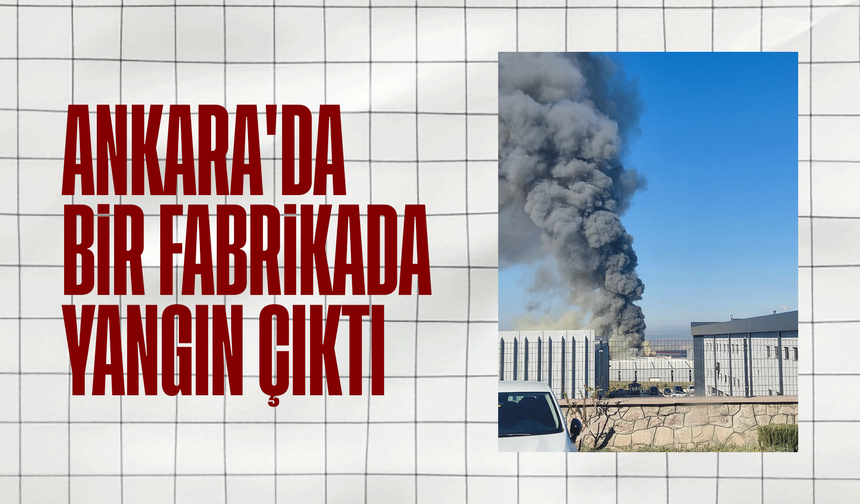 Ankara'da bir fabrikada yangın çıktı