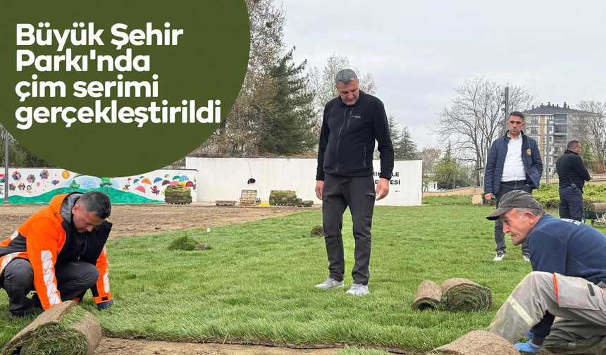 Büyük Şehir Parkı'nda çim serimi gerçekleştirildi