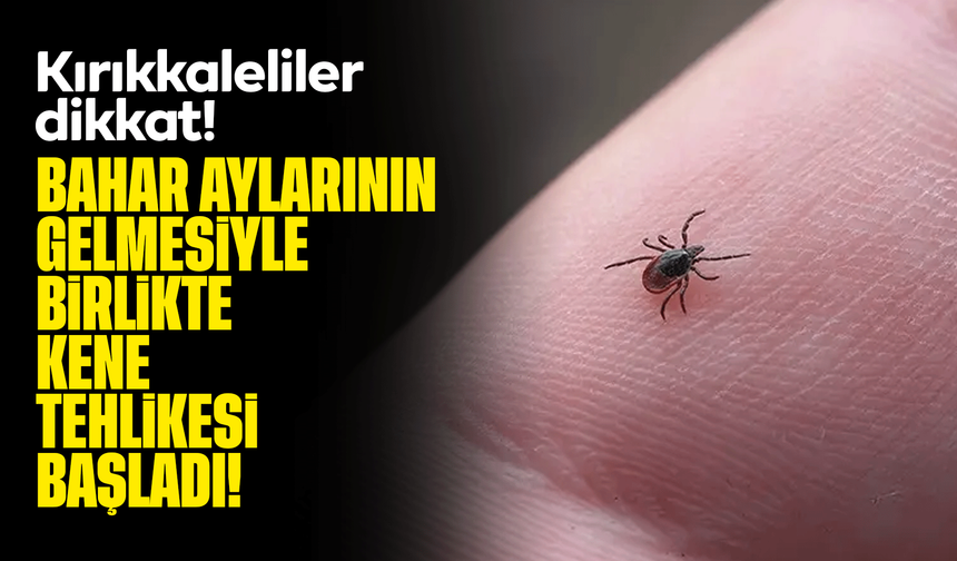 Kırıkkaleliler dikkat! Bahar aylarının gelmesiyle birlikte kene tehlikesi başladı!