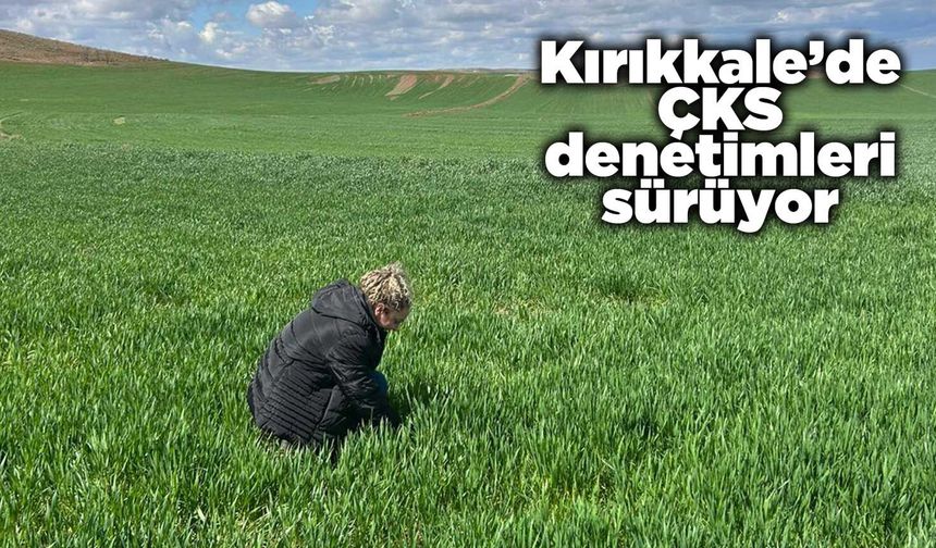 Kırıkkale’de ÇKS denetimleri sürüyor