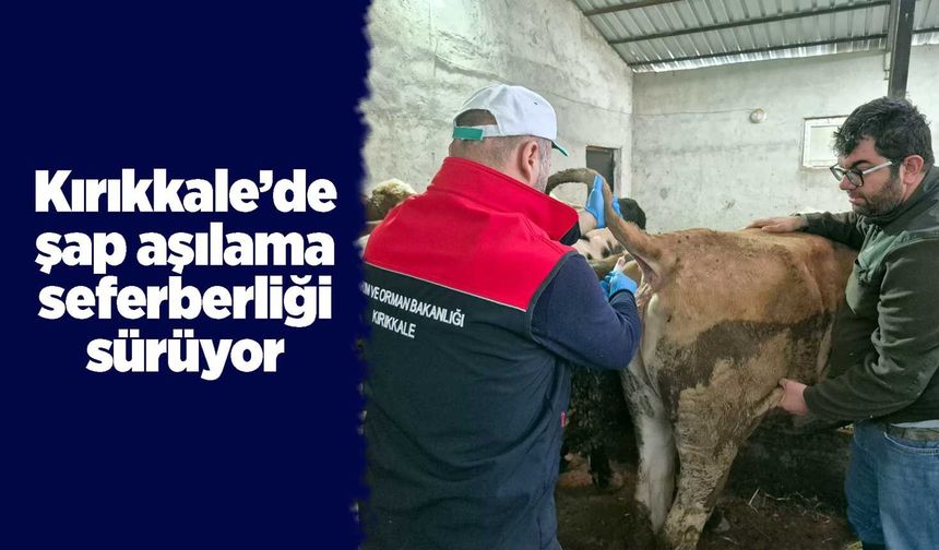 Kırıkkale’de şap aşılama seferberliği sürüyor