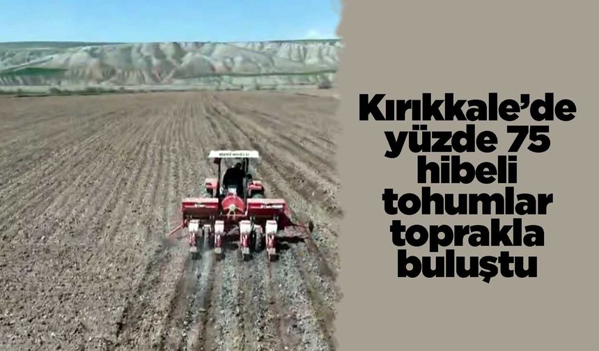 Kırıkkale’de yüzde 75 hibeli tohumlar toprakla buluştu