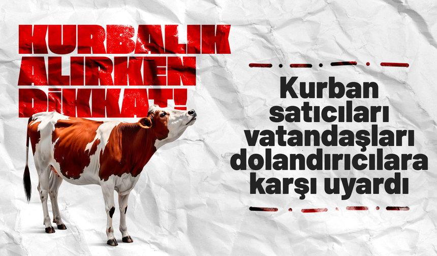 Kurbanlık alacaklara "yaş" uyarısı