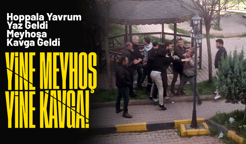 Meyhoş Parkında kavga çıktı!