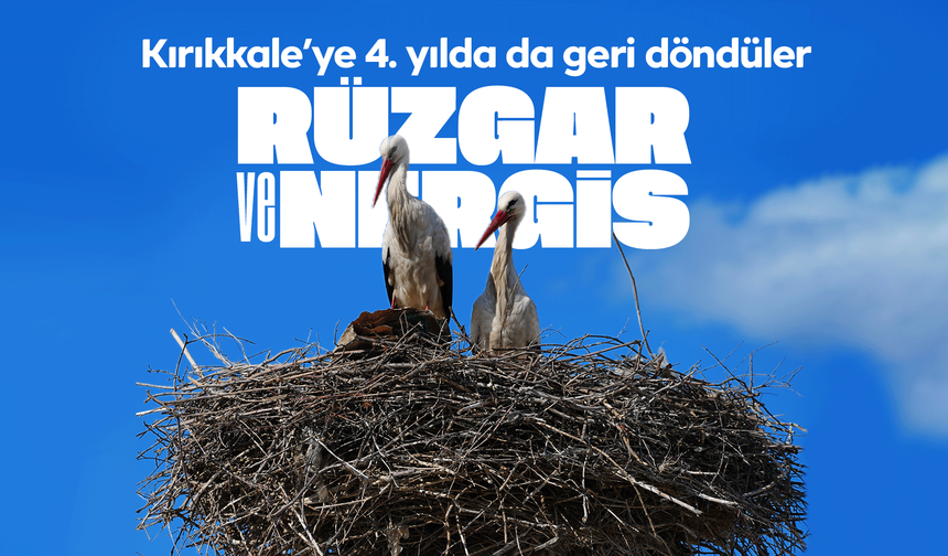 Esnafın merakla beklediği Rüzgar ve Nergis, 4'üncü yılında da aynı yuvaya döndü