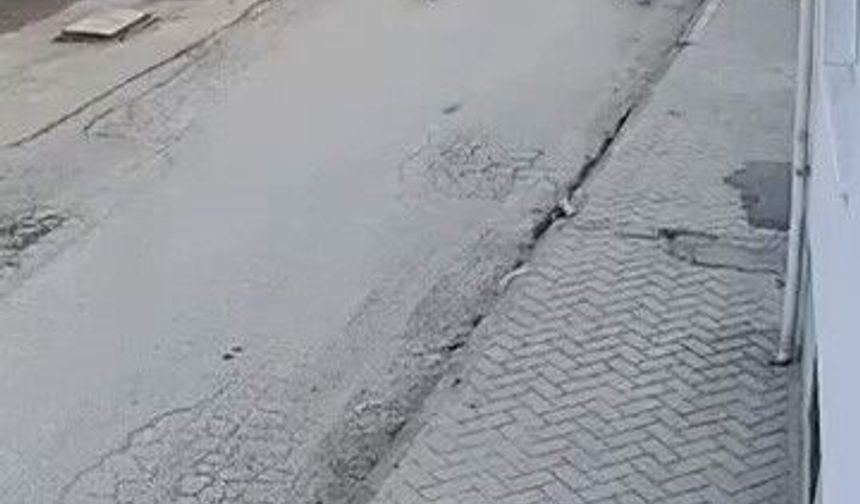 Bir anda koşup havlayan köpek küçük çocuğu korkuttu