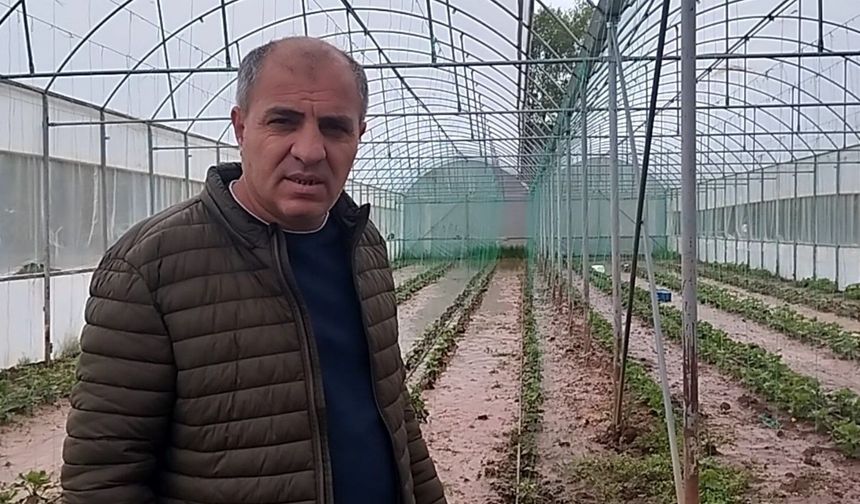 Dere taştı: Sera ve bahçeler sular altında kaldı