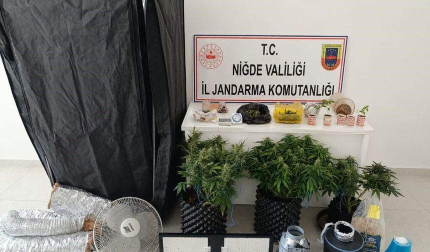 İklimlendirme sistemiyle yasa dışı ekim yapan 4 şüpheli gözaltına alındı