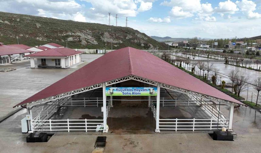Kurban pazarı için takvim netleşti