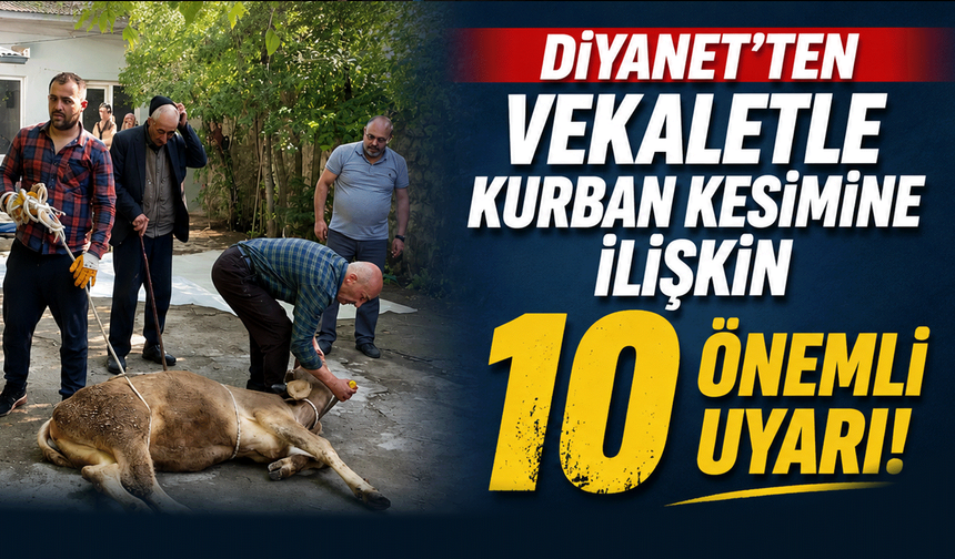 Diyanet’ten Vekaletle Kurban Kesimine İlişkin 10 Önemli Uyarı