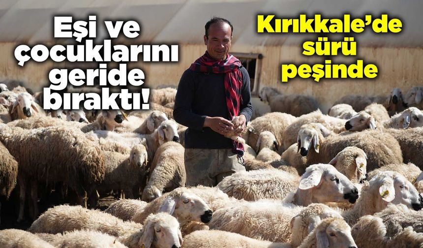 Eşi ve çocuklarını geride bıraktı! Şimdi Kırıkkale’de sürü peşinde