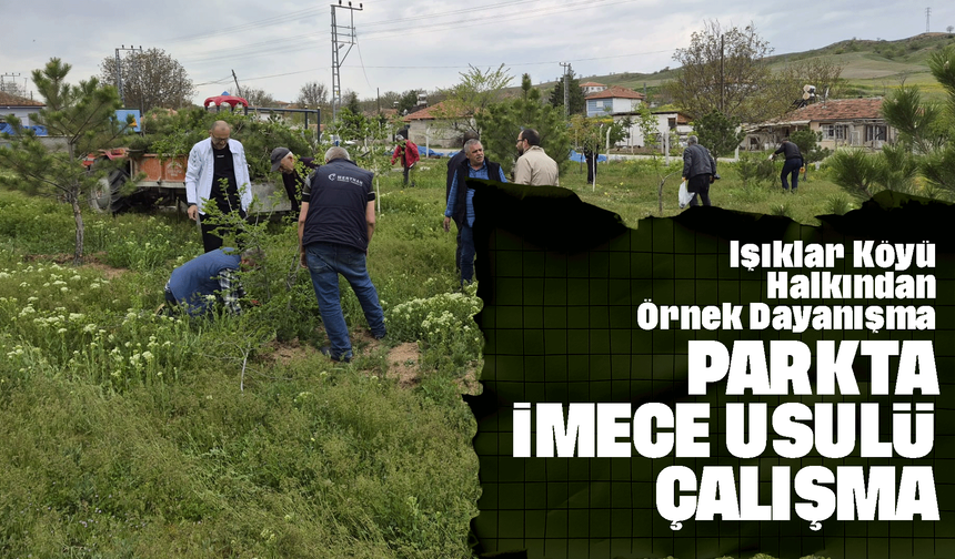 Işıklar Köyü Halkından Örnek Dayanışma: Parkta İmece Usulü Çalışma