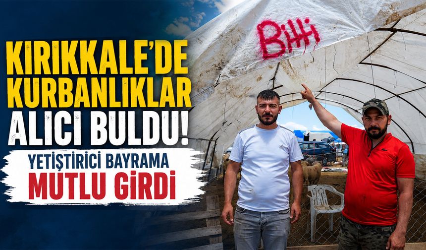Kurbanlıklar alıcı buldu, yetiştirici bayrama mutlu girdi: "Dedikleri fiyata verdik, milleti kurbansız göndermedik"