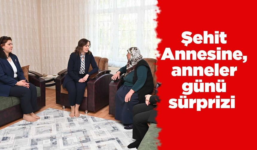 Şehit Annesine, anneler günü sürprizi