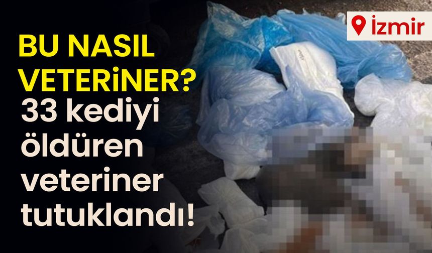 Bu nasıl veteriner? 33 kediyi öldüren veteriner tutuklandı!