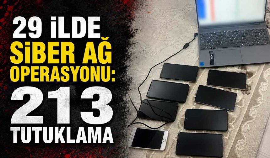 29 ilde siber ağ operasyonu: 213 tutuklama