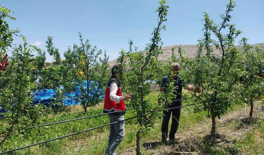 Dolu ve sağanak tarım arazilerine zarar verdi