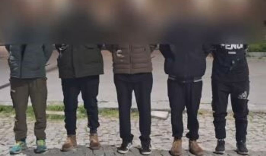 Sivas'ta 8 düzensiz göçmen yakalandı, 3 kişi tutuklandı