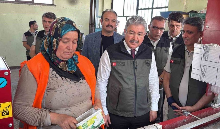 Yangın bölgelerine gönderilen milyonlarca fidan 'nefes' olacak
