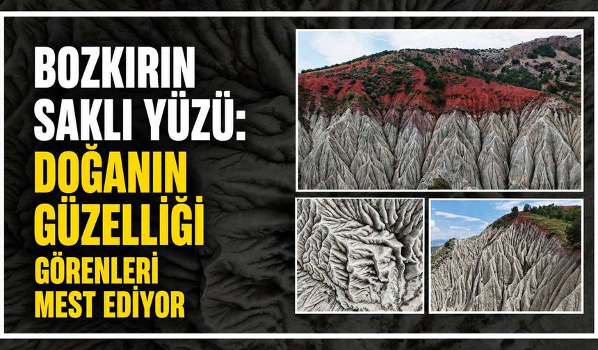 Bozkırın saklı yüzü: Doğanın güzelliği görenleri mest ediyor
