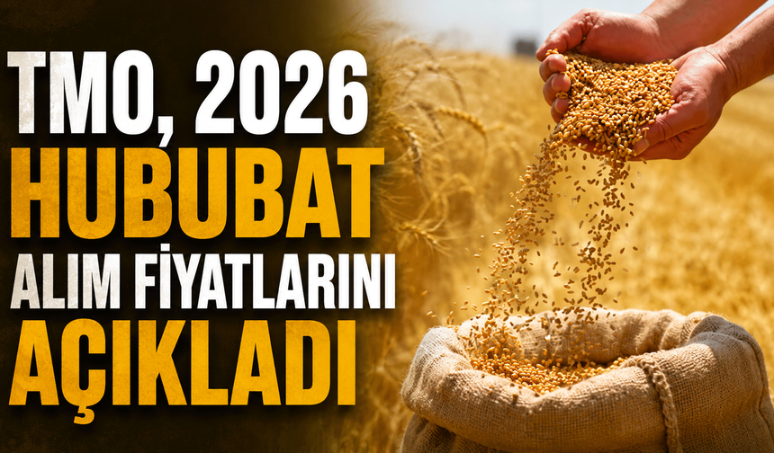 TMO, 2026 Hububat Alım Fiyatlarını Açıkladı