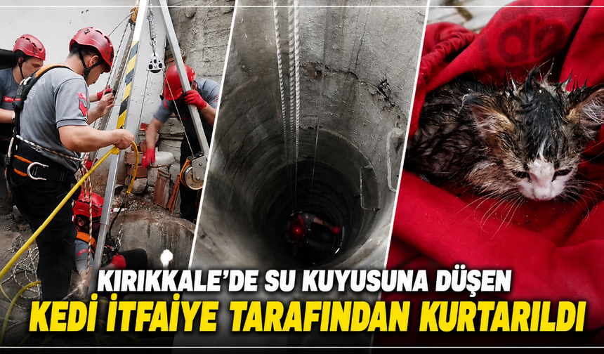 Kırıkkale'de su kuyusuna düşen kedi itfaiye tarafından kurtarıldı