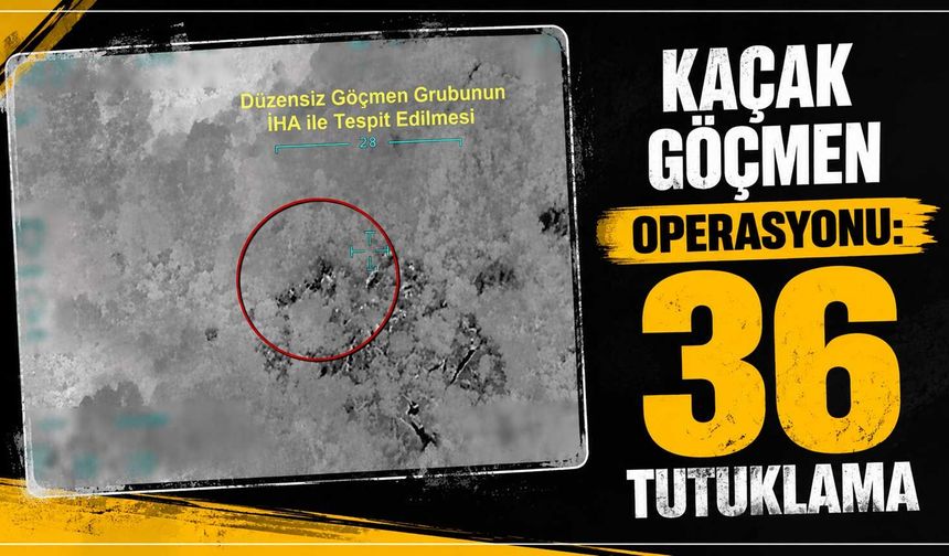 Kaçak göçmen operasyonu: 36 tutuklama