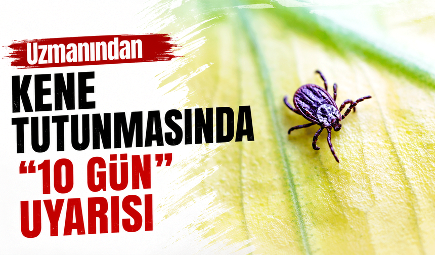 Uzmanından kene tutunmasında '10 gün' uyarısı
