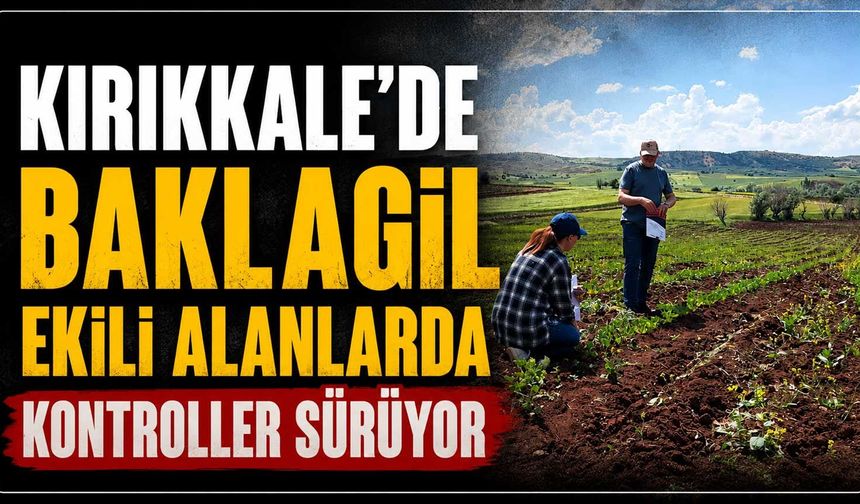 Kırıkkale’de baklagil ekili alanlarda kontroller sürüyor