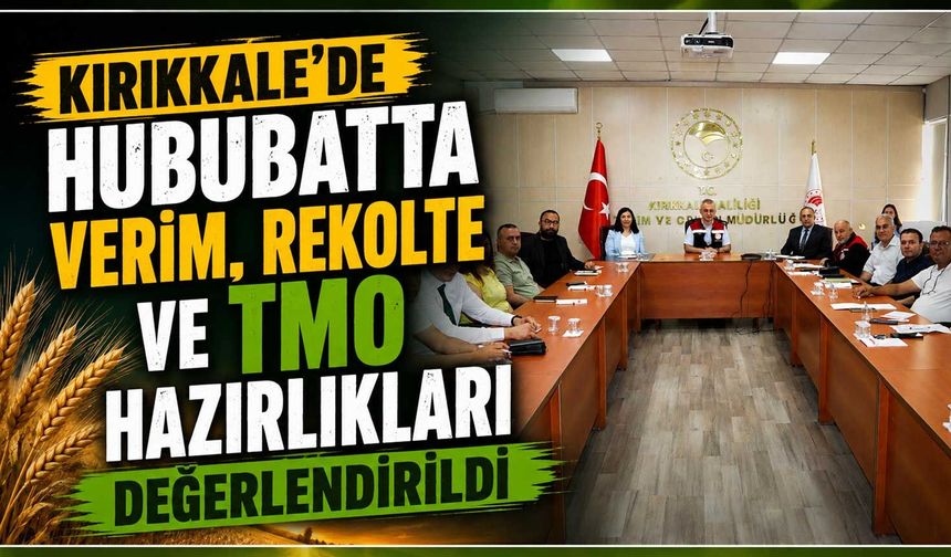 Kırıkkale'de hububatta verim, rekolte ve TMO hazırlıkları değerlendirildi