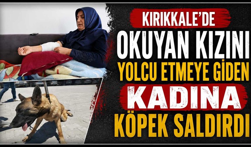 Kırıkkale’de okuyan kızını yolcu etmeye giden kadına köpek saldırdı