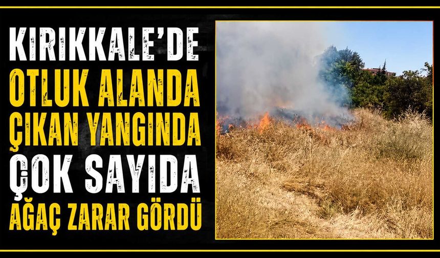 Kırıkkale’de otluk alanda çıkan yangında çok sayıda ağaç zarar gördü